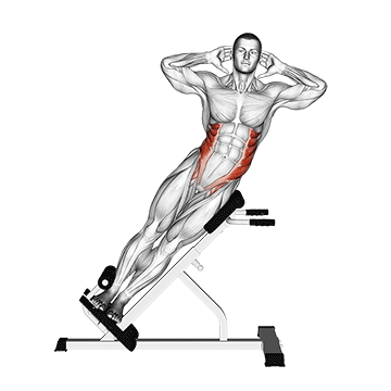 Demostración del ejercicio: Inclinación Lateral 45°: Oblicuos y Movilidad de Columna
