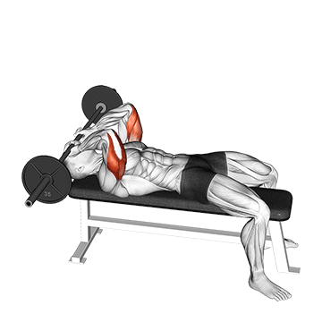 Press Francés (Skull Crusher): La Mejor Masa para el Tríceps