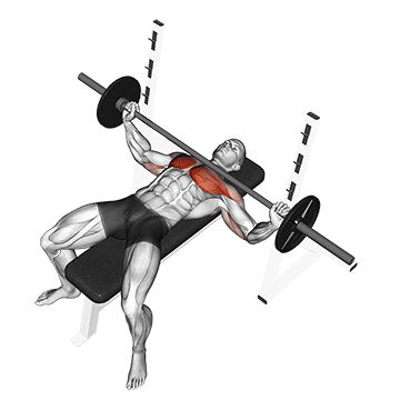 Demostración del ejercicio: Remo en Máquina: Seguridad y Aislamiento para la Espalda