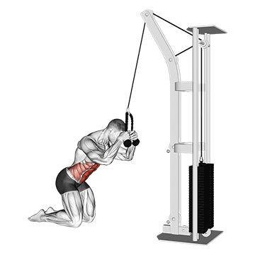 Demostración del ejercicio: Crunch en Polea: El Abdominal con Sobrecarga Progresiva