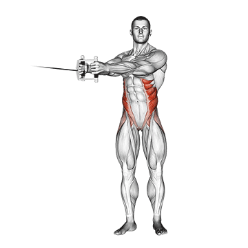 Demostración del ejercicio: Leñador en Polea: El Ejercicio Funcional para un Core Rotacional