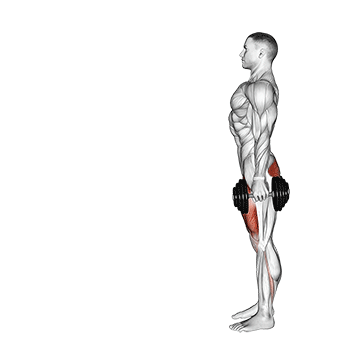 Zancadas con Mancuernas: Equilibrio, Fuerza y Masa Muscular