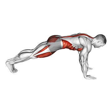 Demostración del ejercicio: Mountain Climber: Core Dinámico y Resistencia Cardiovascular