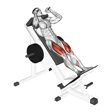 Demostración del ejercicio: Hack Squat: La Máquina para unos Cuádriceps Masivos