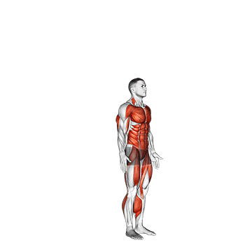 Demostración del ejercicio: Burpee: El Ejercicio de Cuerpo Completo para Quemar Calorías y Ganar Resistencia