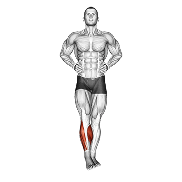 Demostración del ejercicio: Círculos de Tobillo: Movilidad y Prevención de Esguinces