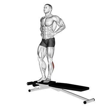 Demostración del ejercicio: Box Jump: Desarrolla Potencia Explosiva y Coordinación