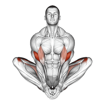 Demostración del ejercicio: Estiramiento de Mariposa (Baddha Konasana): Apertura de Caderas