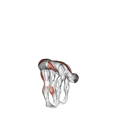 Demostración del ejercicio: Toque de Punta de Pie (Toe Touch): Flexibilidad de Isquiotibiales